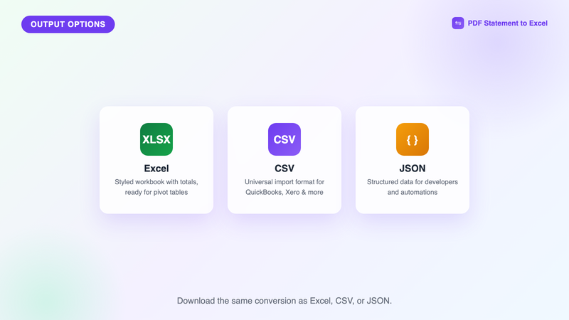 Excel, CSV, and JSON output options for a converted American Express statement